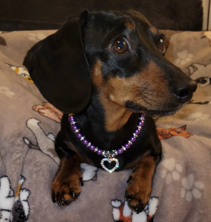 Purple Pearl Studded Silver Chain with Heart Shaped Studded Charm - Item #: 017